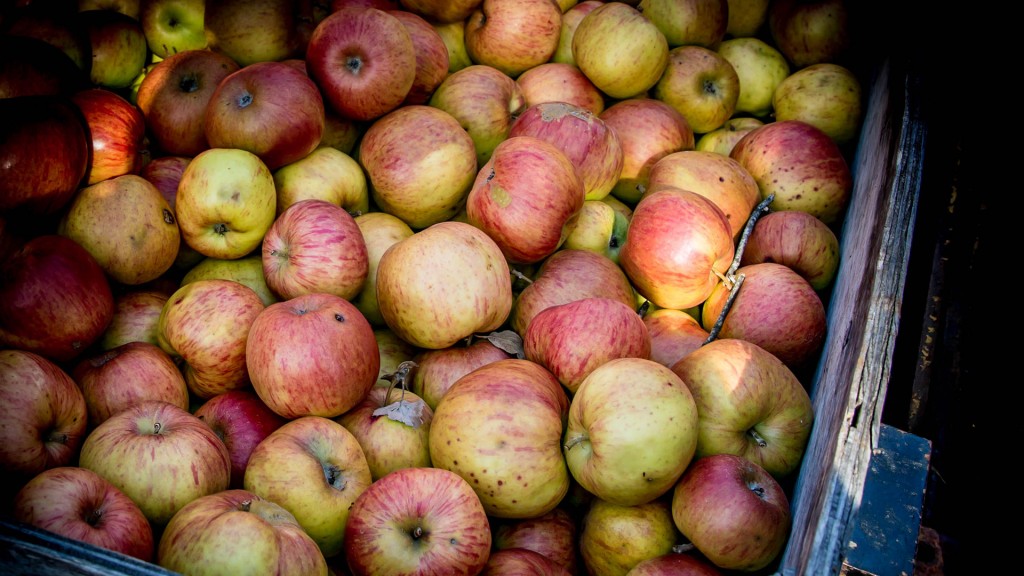 DH-images_0014_apples-crate